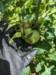 Altitude (to)maters (Scott)