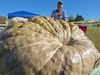Joe Jutras WR Giant Squash