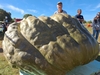 Joe Jutras WR Giant Squash