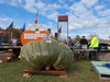 Joe Jutras WR Giant Squash