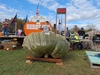 Joe Jutras WR Giant Squash