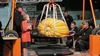 My 519.5 lbs. pumpkin  