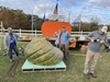 Joe Jutras WR Giant Squash