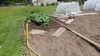 150 Challenge plant in late May 2022.