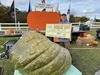 Joe Jutras WR Giant Squash