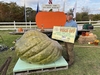 Joe Jutras WR Giant Squash