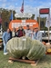 Joe Jutras WR Giant Squash