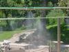 The Cadillac of Misting Systems