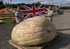 New WR Pumpkin 2819.3