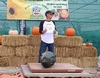 Tom Trombley WR Master Gardener - Marrow